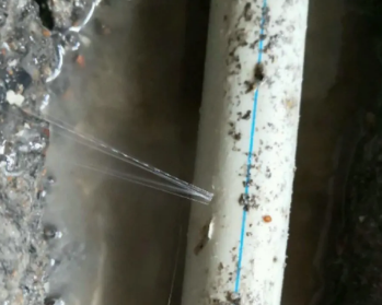 南溪卫生间测漏水多少钱