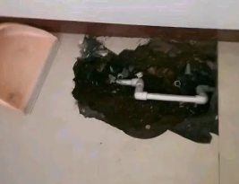 南溪卫生间测漏水多少钱